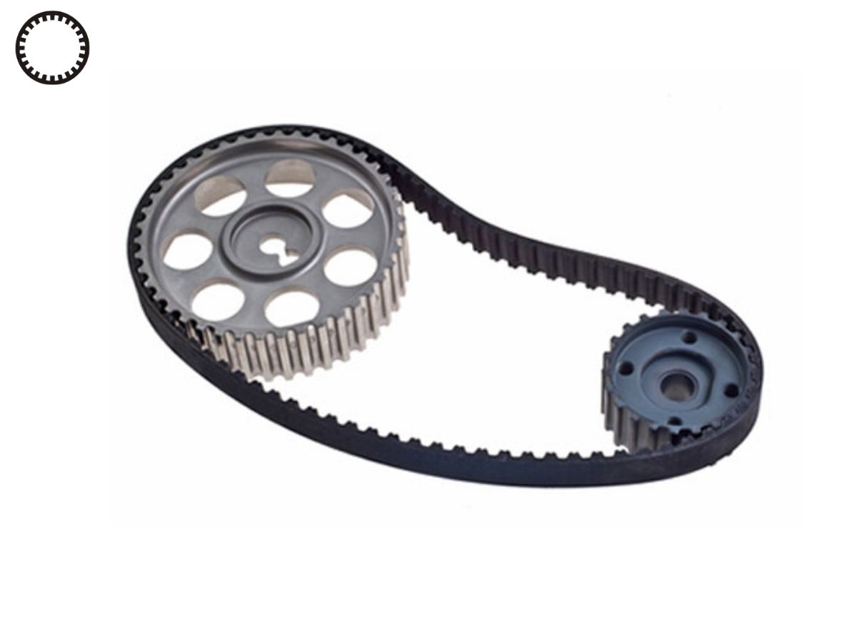 dây curoa Chánh Việt