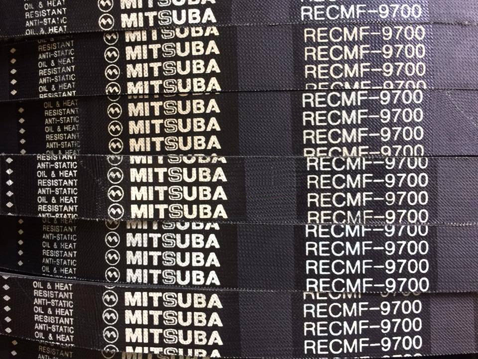 DAY CUROA RANG C HANG 15