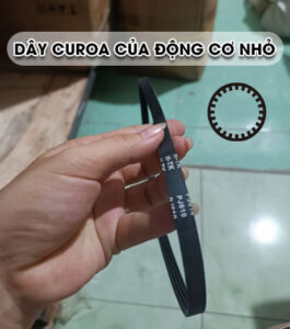 Dây curoa của động cơ nhỏ
