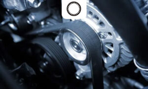 Dây Curoa Xe Tay Ga