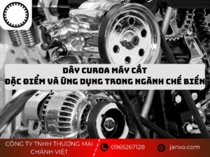 day curoa may cat 1 1