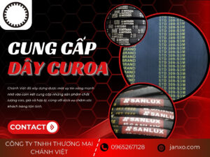 Chánh Việt một trong những đơn vị cung cấp dây Curoa chất lượng tại Việt Nam