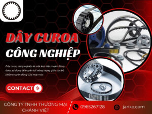 Sản phẩm dây curoa nhà Chánh Việt