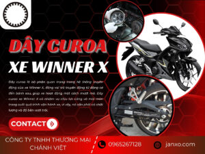 day curoa winner x 2