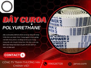 Dây Curoa Polyurethane