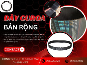 Dây Curoa Bản Rộng
