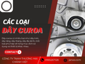 Các loại dây curoa phổ biến