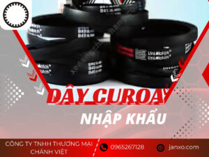 Dây curoa nhập khẩu