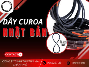 Dây curoa Nhật Bản