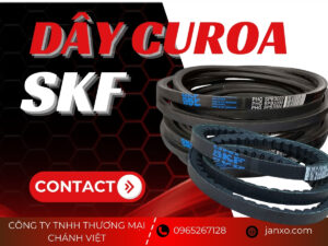 Dây curoa SKF