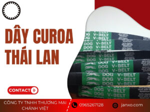 Dây curoa thái lan