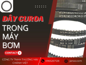 Dây curoa trong máy bơm