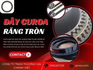 DÂY CUROA RĂNG TRÒN