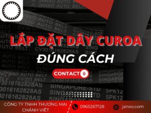 Lắp đặt dây curoa