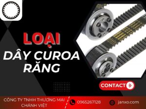 Loại dây curoa răng