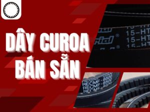 Dây curoa bán sẵn